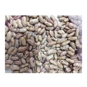 Kidney Beans Supplier