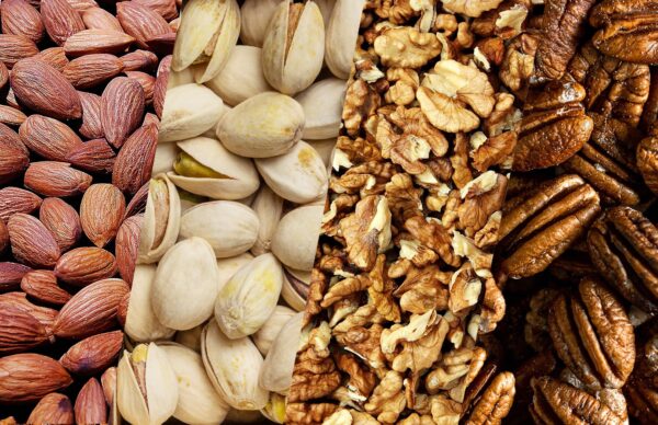 Almond Nut Suppliers - Image 3