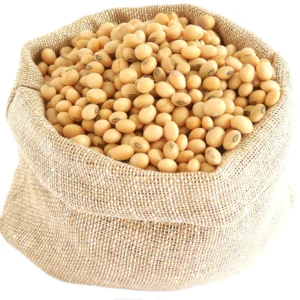 Soybeans Supplier